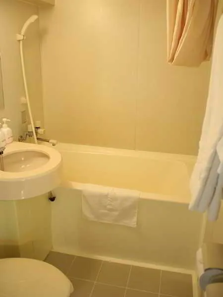 Hotel Kizankan Tokyo 3*,
